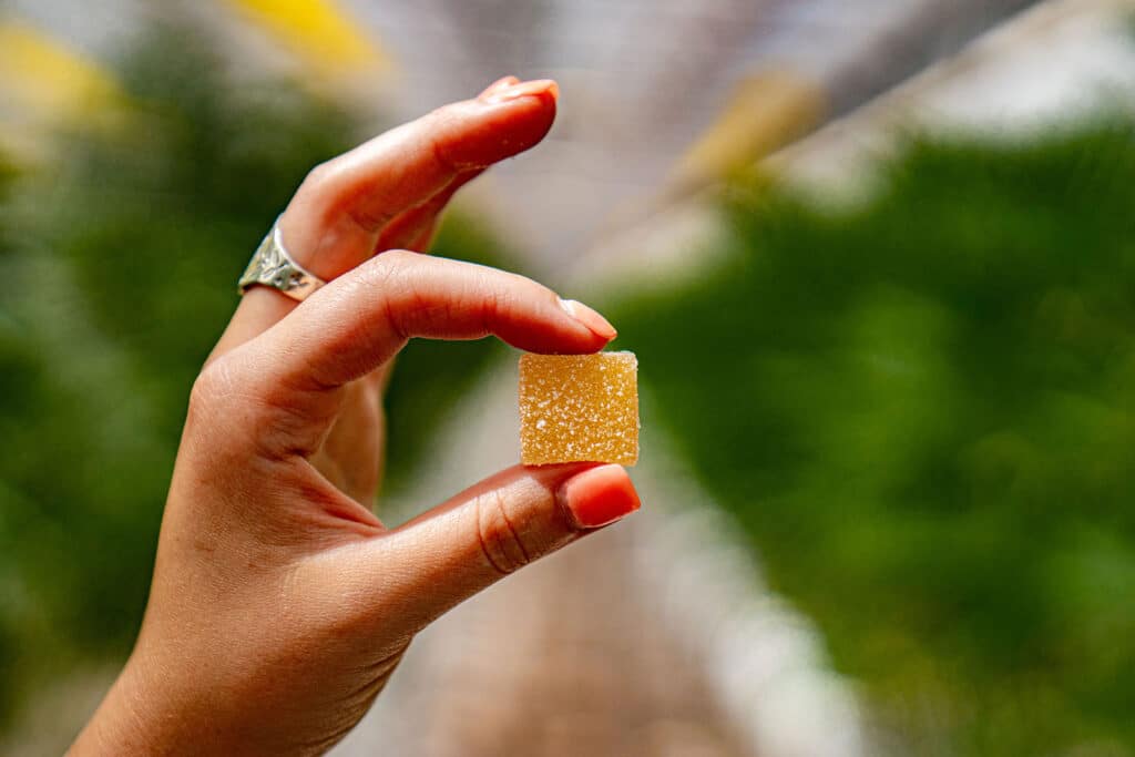 Do Edibles Leave Your System Faster Than Smoking How long do edibles stay in your system? - Illinois Recovery Center