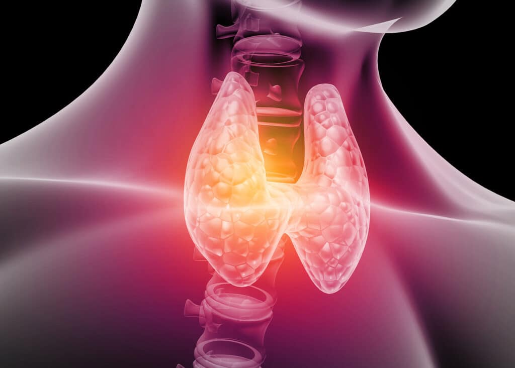 Does Alcohol Affect the Thyroid?